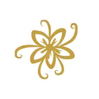 Sex LYFE intimate wellness and rejuvenation services logo